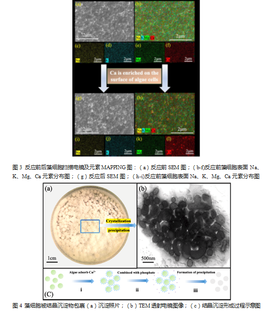 1626062566154965.png image.png