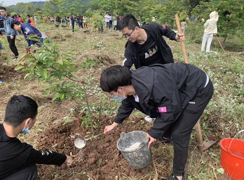 1619141154962467.png image.png